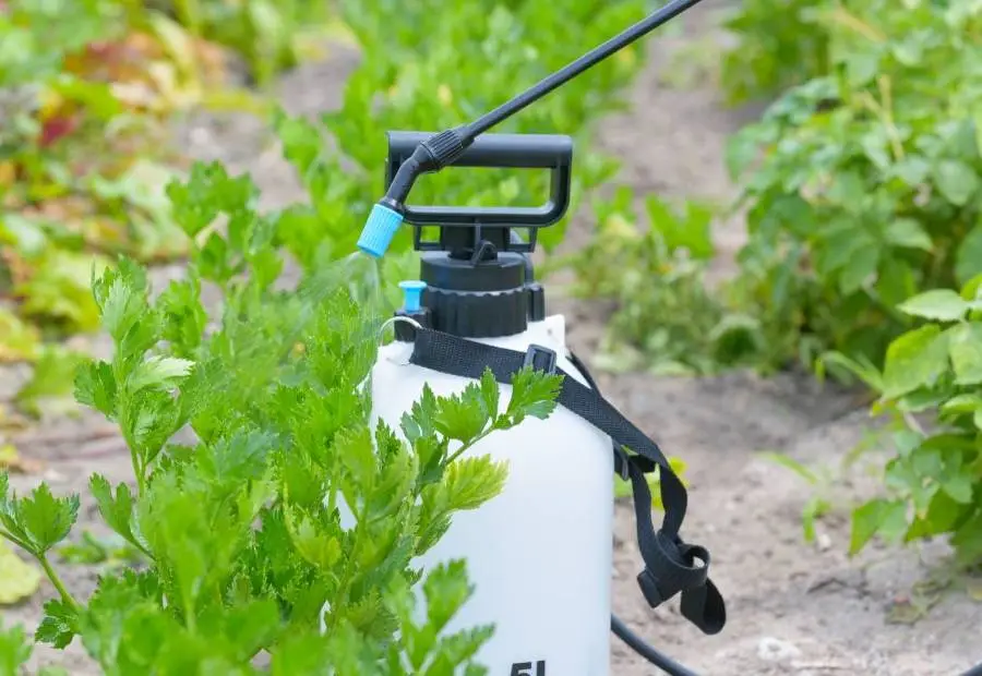 Umbrohu- ja samblatõrje